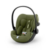 Moss Green Plus