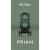 Cybex Priam 4.0 tapicerka siedziska Leaf Green