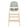 Carrello Ergo CRL-16701 Elora Green krzesełko do karmienia