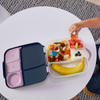 B.Box Lunchbox z wkładem chłodzącym Indigo Rose