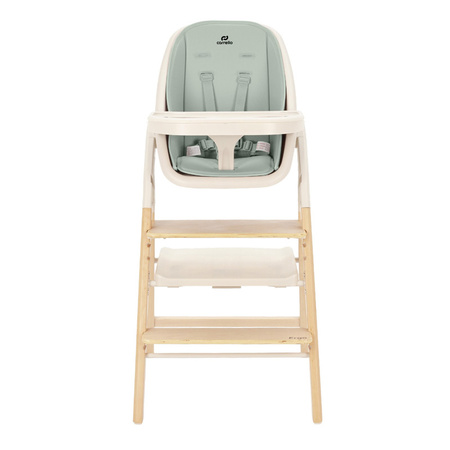 Carrello Ergo CRL-16701 Elora Green krzesełko do karmienia