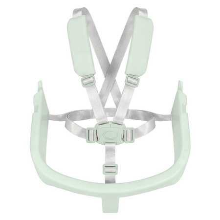 Carrello Tenero CRL-9507 Elysium Green krzesełko do karmienia