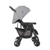 Graco Duorider Steeple Grey wózek bliźniaczy