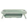 Maxi Cosi Indigo + Indigo Stand zestaw Sage Green