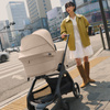 Bugaboo Dragonfly Plus Komplet Black/Forest Green wózek 2w1 głęboko-spacerowy