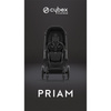 Cybex Priam 4.0 tapicerka siedziska Sepia Black