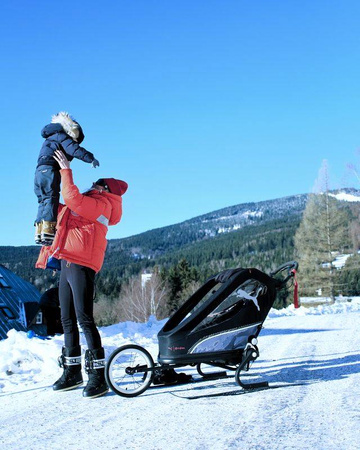 Cybex Zeno Zestaw narciarski