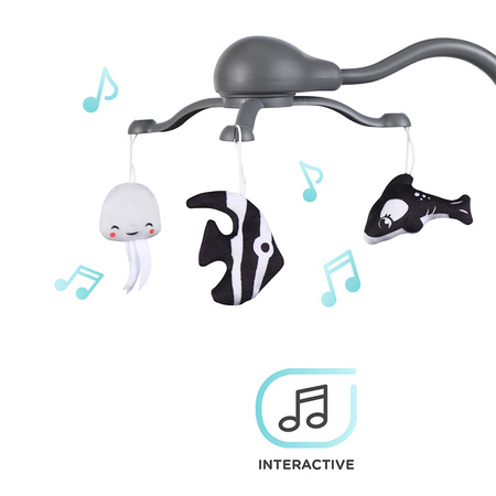 Kinderkraft Leody z akcesoriami