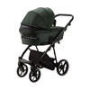 Adamex Belissa Green wózek 2w1 głęboko-spacerowy