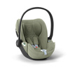 Sage Green Plus