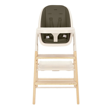 Carrello Ergo CRL-16701 Pine Green krzesełko do karmienia