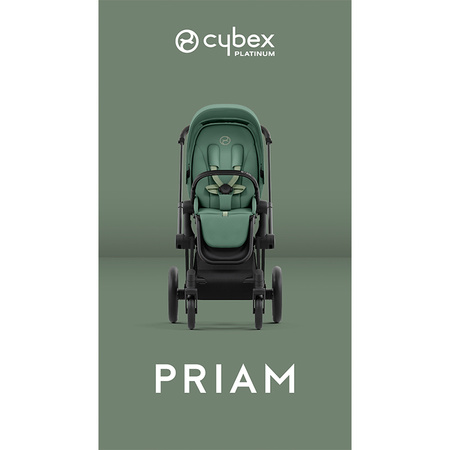 Cybex Priam 4.0 tapicerka siedziska Leaf Green